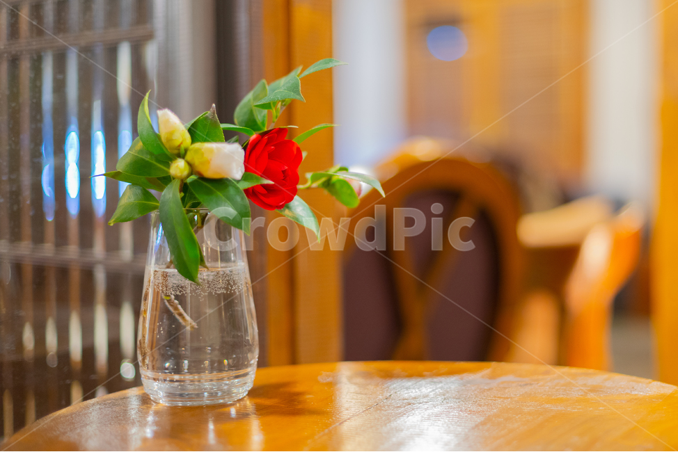 꽃,장미,노란장미,빨간장미,정물,화병,꽃병,꽃,flower,실내용화초,화분,화초,house plant,인테리어,실내디자인,interior design