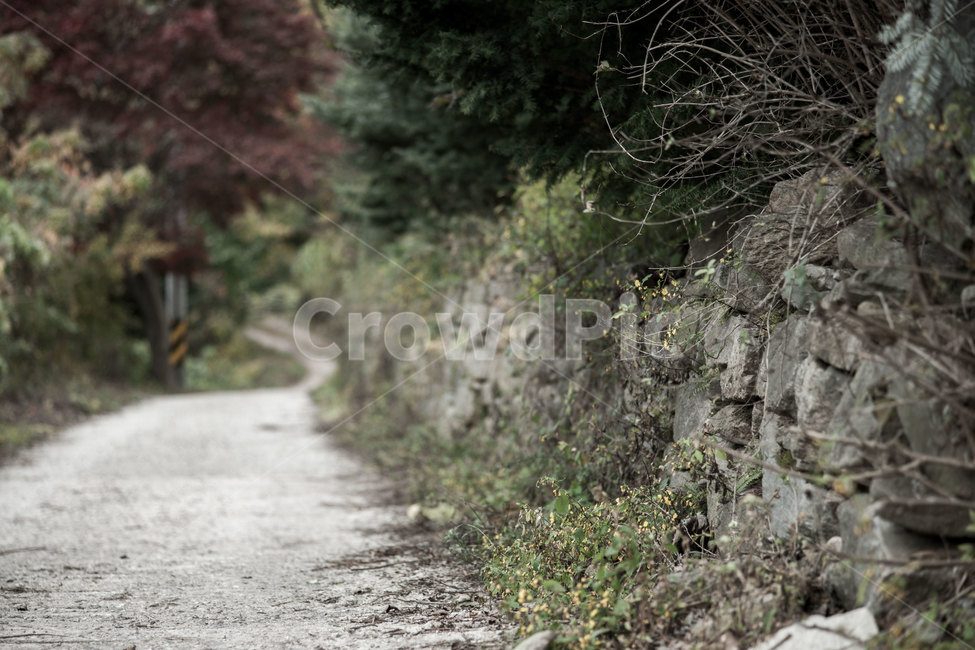 길,가을,stone,돌,street,트레킹,trekking,fall