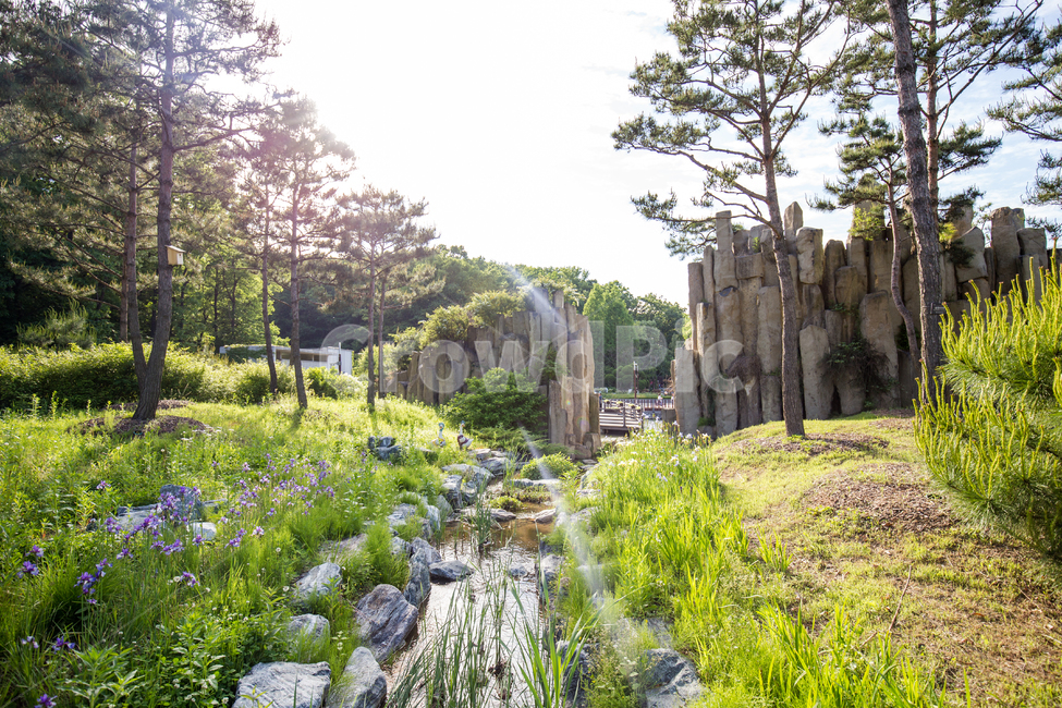 부천,생태공원,공원,풍경,자연,나무,돌,바위,잔디,물,빛,park,landscape,nature,tree,rock,water,grass,자연,풍경,nature,landscape,한국자연풍경,한국자연경관,korea nature landscape,plant,식물,outdoors,옥외,vegetation,초목,pottery,도기류,vase,병 장식,potted plant,화분,jar,항아리