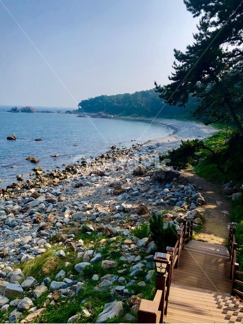 바다,해변,계단,하늘,여름,소나무,자연,풍경,자연,풍경,nature,landscape,제주도,jeju,jeju island,ground,바닥