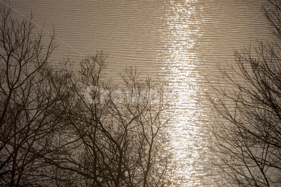 호수,호숫가,겨울,물빛,겨울풍경,물결,물가,햇빛,자연,풍경,nature,landscape,outdoors,옥외