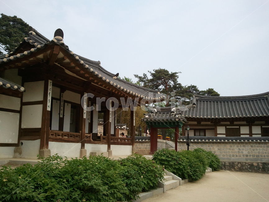 오죽헌,한옥,가옥,식물,외곽,건축물,전통가옥,outdoors,고택,건축양식