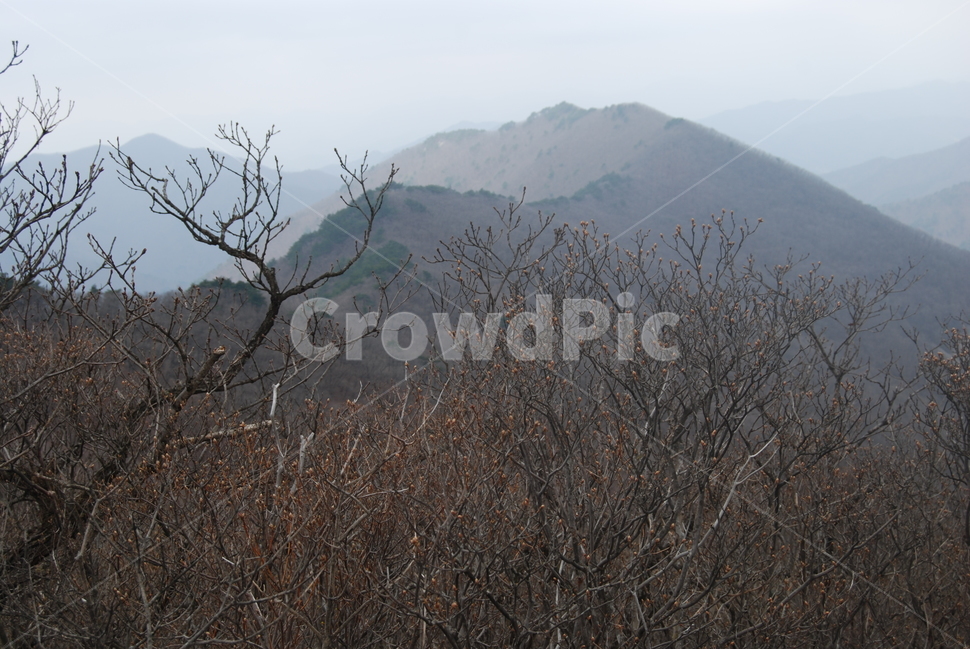 안개,fog,등산로,hikingtrail,봄,자연,풍경,nature,landscape,mountain range,산맥,outdoors,옥외,mountain,산