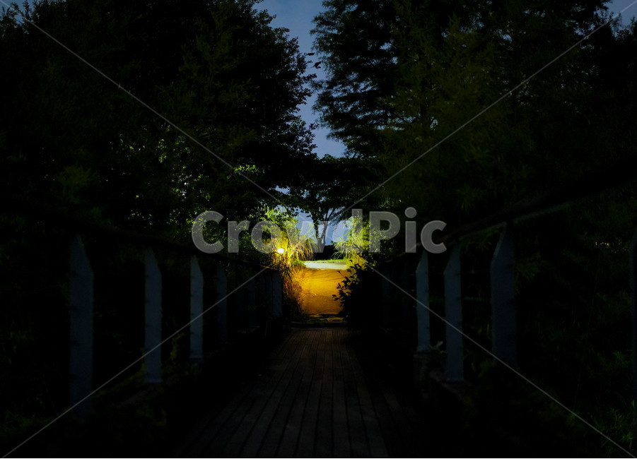 선유도,공원,밤,공포,골목길,자연,풍경,nature,landscape,공포,호러,무서운,무서움,horror,terror,fear,flare,플레어,light,빛