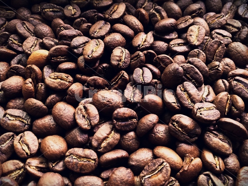 bean,콩,coffee,cafe,homecafe,homeroasting,roastion,커피,카페,로스팅,홈로스팅,홈카페,coffeebean,wholebean