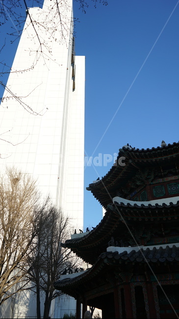 전통,현대,조화,도시,건축,풍경,하늘,기와,공존,환구단,traditional,tradition,architecture,한국전통,한국문화,korean traditional,korean culture,건축물,건물외관,exterior,building,structure,architecture,construction