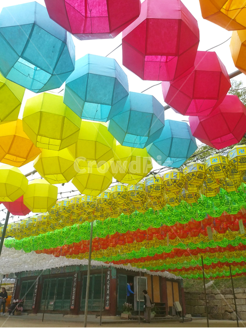 절,사찰,범어사,연등,불교,초파일,다양한,색상,temple,buddha