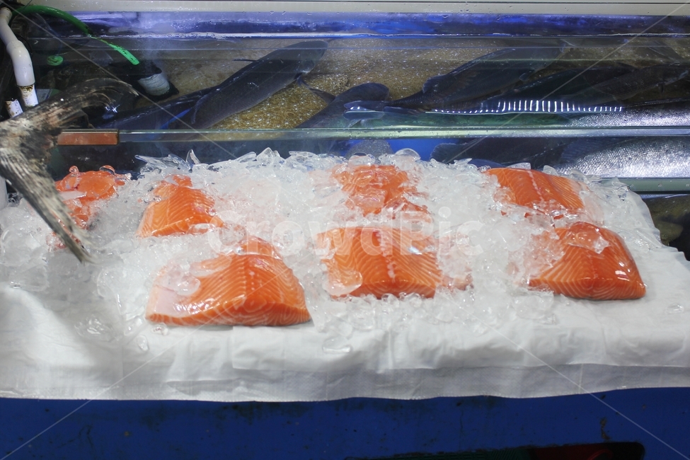 수산시장,연어,연어회,노량진수산시장,가락시장,횟감,회,음식,식재료,요리,food,cook,meal,dishes,food reserves