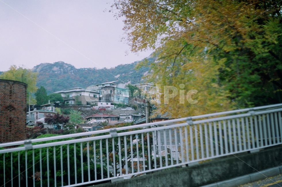 언덕,마을,전망,가을,나무,동네,도시,풍경,city,landscape,한국도시풍경,한국도시경관,korea cityscape,railing,난간,handrail,banister