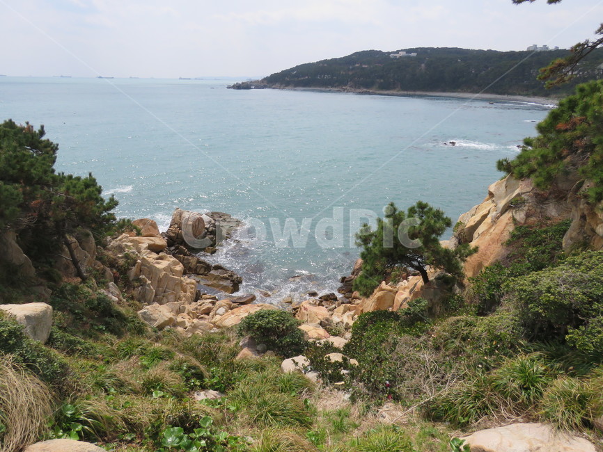 울산,대왕암,대왕암공원,바다,바위,소나무,절경