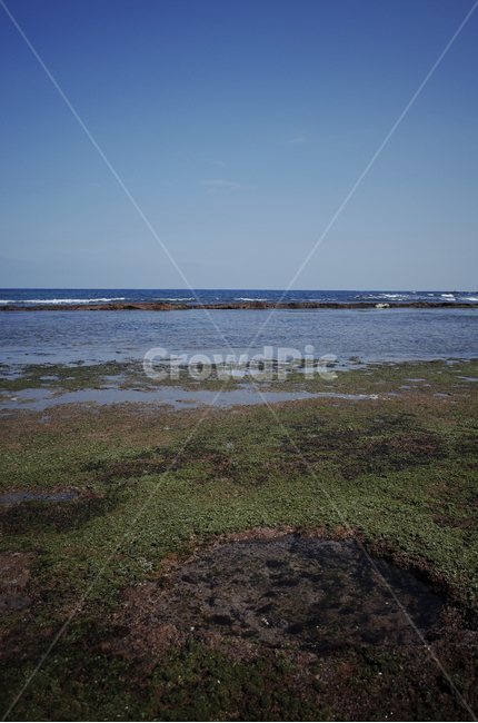 water,물,nature,자연,sea,바다,ocean,대양,shoreline,해안선,promontory,곶,outdoors,옥외,자연,풍경,nature,landscape