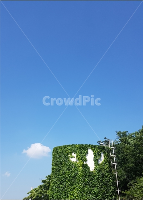 굴뚝,하늘,넝쿨,덩굴,사다리,구름,식물,sky,plants,자연,풍경,nature,landscape