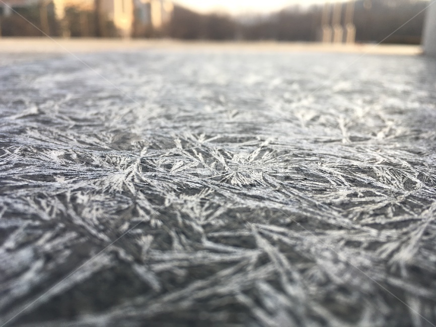 얼음,ice,겨울,서리,frost,시원한느낌,차가운느낌,감성사진,겨울,계절,winter,season