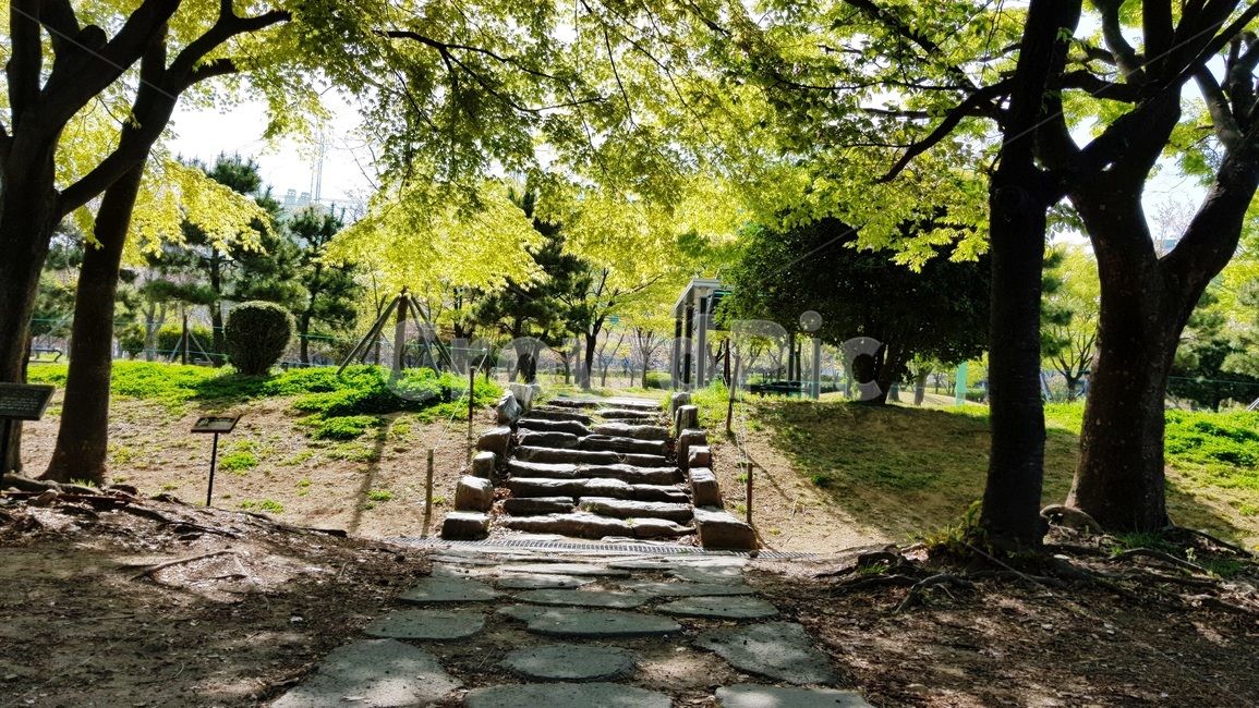 공원,산책,나무,돌계단,산책로,자연,풍경,nature,landscape,flagstone,판석,outdoors,옥외,garden,정원,arbour,정자
