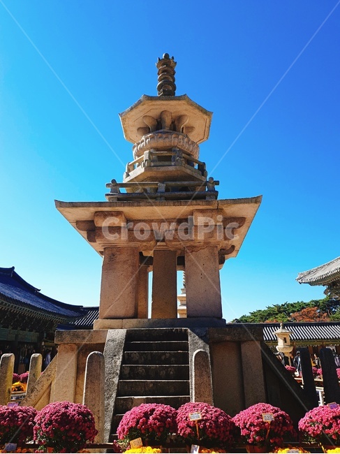 경주,불국사,다보탑,절,탑,한국전통,한국문화,korean traditional,korean culture,랜드마크,landmark,tourist attraction,한국랜드마크,한국관광지,한국명소,korea landmark,korea tourist attraction,조각상,동상,석상,조형물,statue,bronze statue,stone statue,종교,신앙,religion,belief,faith,건축물,건물외관,exterior,building,structure,architecture,construction