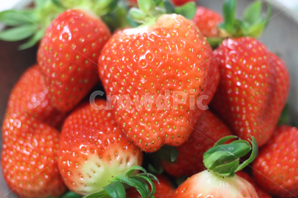 딸기,과일,음식,strawberry,fruit,food,음식,식재료,요리,food,cook,meal,dishes,food reserves,과일,열매,fruit