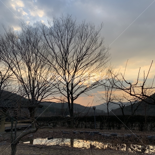 자연,나무,하늘,노을,그림자,nature,겨울,자연,풍경,nature,landscape,outdoors,옥외