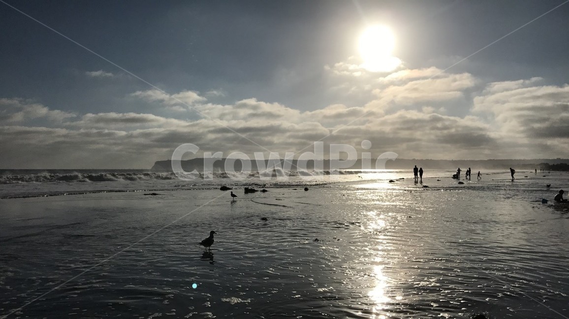 sandiego,beach,sun,sunlight,cloud,bird,wave,샌디에고,해변,해,햇빛,구름,새,파도,light,빛,자연,풍경,nature,landscape,해변,바다,beach,sea