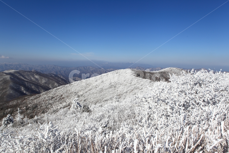 한국,강원도,평창,오대산,상고대,겨울,겨울산,등산,국립공원,오대산국립공원,풍경,풍경사진,korea,Gangwondo,Pyeongchanggun,landscape,평창동계올림픽,겨울,계절,winter,season,자연,풍경,nature,landscape,한국자연풍경,한국자연경관,korea nature landscape,outdoors,옥외,mountain,산,slope,경사