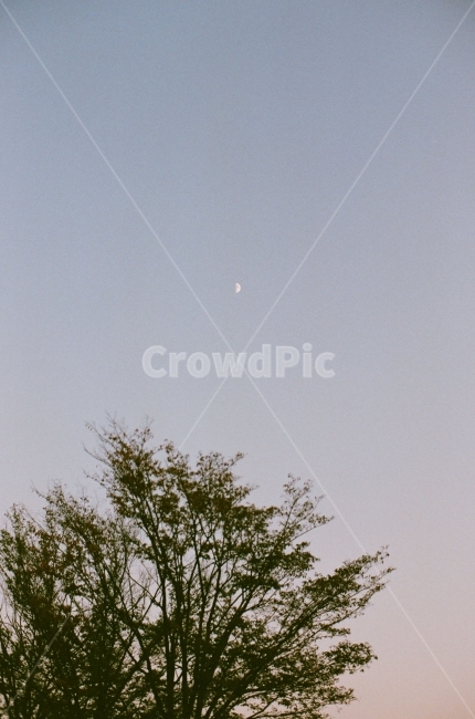 공원,낮달,달,하늘,노을,나무,풍경,필름사진,빈티지,자연,풍경,nature,landscape,식물,plants,나무,trees,wood,감성,sensible,feeling,outdoors,옥외