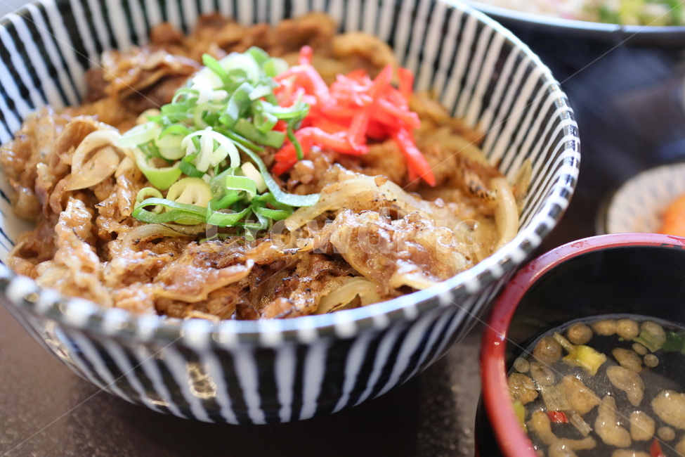 규동,일식,덮밥,일본음식,고기요리,음식,식재료,요리,food,cook,meal,dishes,food reserves,일식,일본음식,일본요리,Japanese food,Japanese dishes,Japanese meal,Japanese cook
