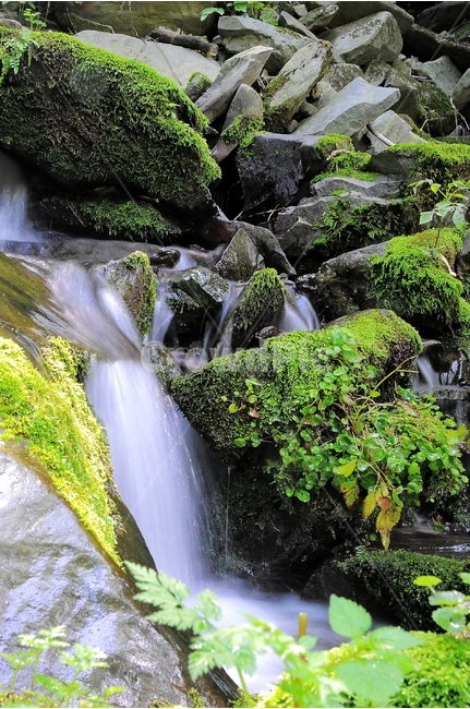 계곡,이끼,이끼계곡,폭포,자연,풍경,cool,flow,forest,korea,korean,koreannature,landscape,moss,mossy,motion,mountain,nature,rock,scenery,stone,valley,water,waterflow,waterflowing,waterfall,강원도,숲,물흐름,물의흐름,자연,풍경,nature,landscape,물,outdoors,옥외,river,강