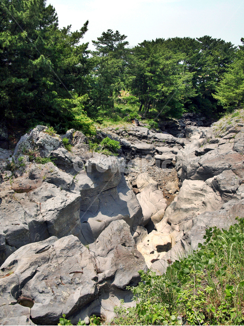 무수천,올레17코스,올레,제주,현무암,화산석,숲,자연,풍경,nature,landscape,outdoors,옥외