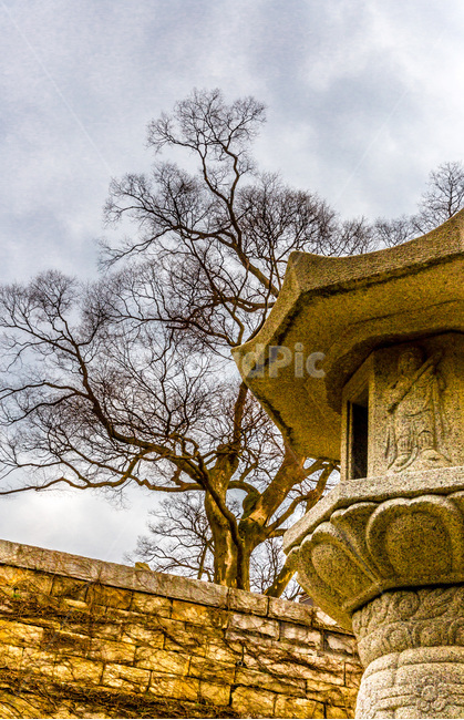 사찰,석등,석재,선,문양,무늬,전통,한국전통,한국문화,korean traditional,korean culture,조각상,동상,석상,조형물,statue,bronze statue,stone statue,종교,신앙,religion,belief,faith,건축물,건물외관,exterior,building,structure,architecture,construction