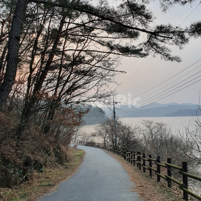 길,road,나무,tree,sunset,겨울,winter