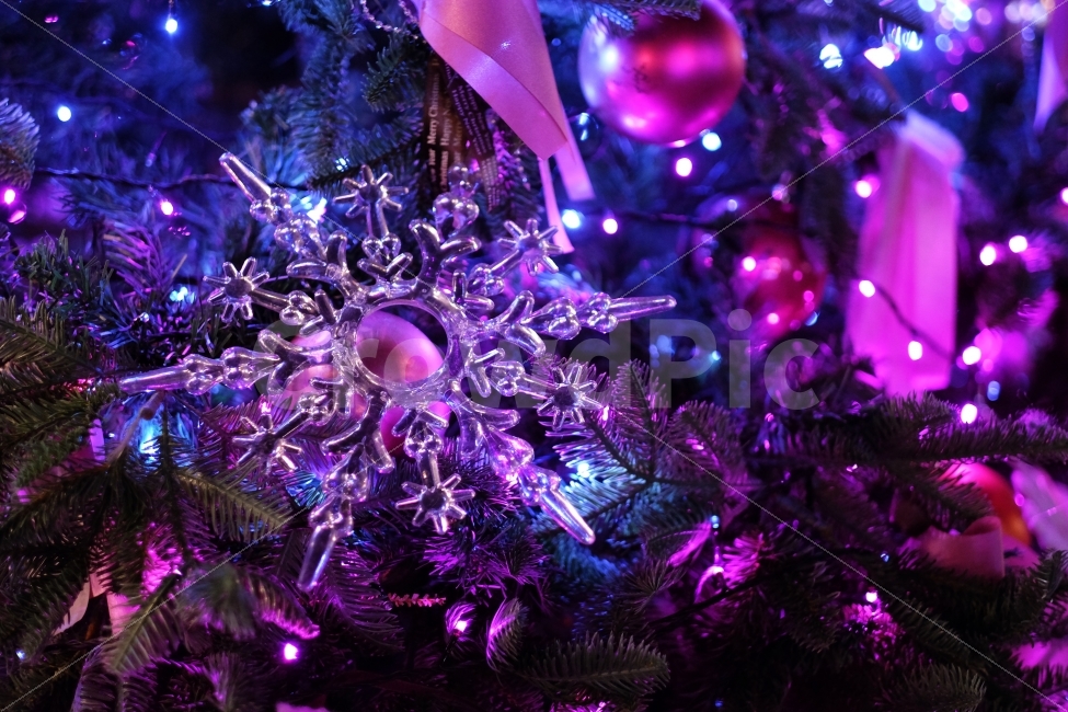 트리,크리스마스장식,크리스마스,메리크리스마스,눈꽃송이,크리스마스사진,눈꽃,겨울,계절,winter,season,종교,신앙,religion,belief,faith,기념일,축하,anniversary,congratulation,celebrate,celebration,메리크리스마스,성탄절,merry christmas,감성,sensible,feeling,색깔,색상,색채,색감,color sense,color sensitivity,feeling of color,인테리어,실내디자인,interior design