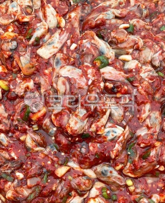 seasoning,Salted raw oysters,salted fish,rice side dish,raw food,side dish,rice thief,ingredients,cooking,seafood,salt,cave,cook,Jeotgal,food,meal,dish,salted oyster,raw oysters,mukbang