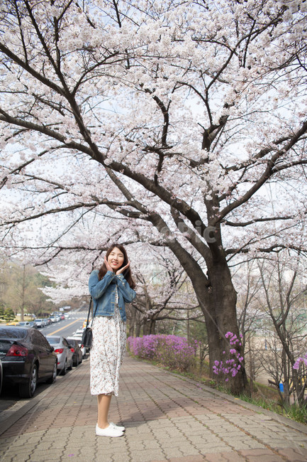 여자,벚꽃,flower,girl,woman,cheeryblossom,portrait,봄,계절,spring,season,사람,인물,인간,human,person,여성,여자,woman,female,lady,automobile,자동차,vehicle,차량,car,차,transportation,교통