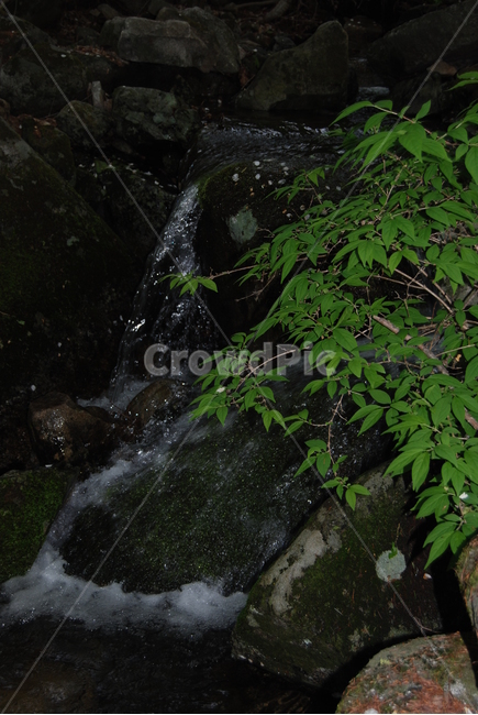 기백산,금원산,함양군,수목원,휴양림,자연,풍경,nature,landscape,water,물,outdoors,옥외,river,강,waterfall,폭포