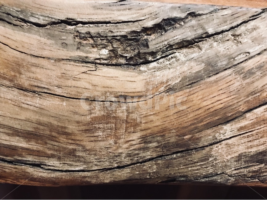 나무,나뭇결,패턴,흔적,세월,나무,trees,wood,텍스처,질감,패턴,texture,pattern