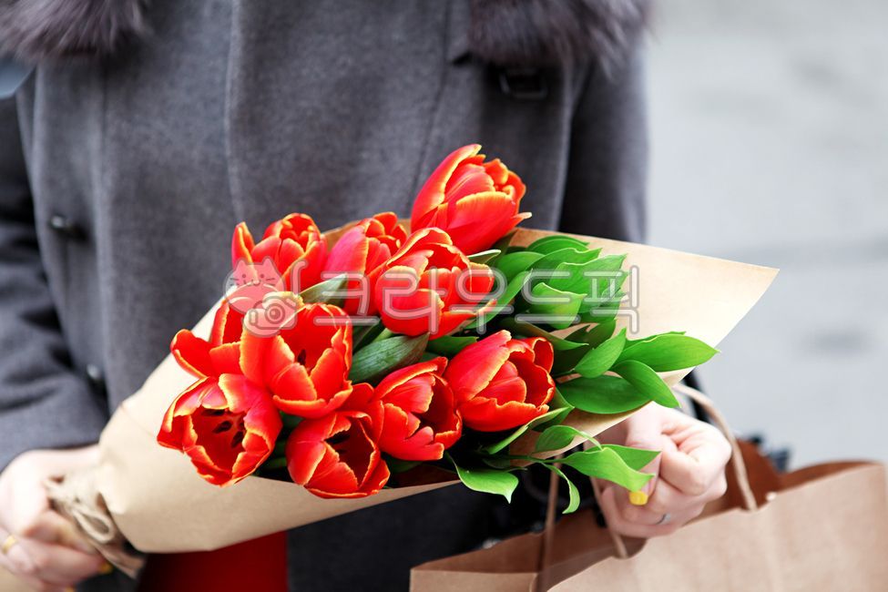 식물,plant,꽃,flower,꽃다발,튤립,튤립꽃다발