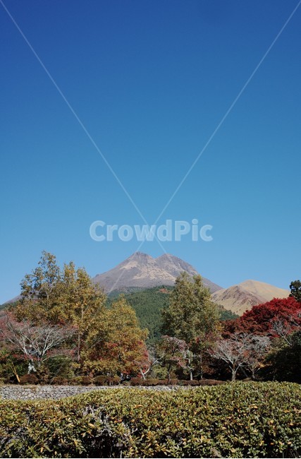 산,단풍,나무,하늘,녹색,가을,가을,계절,fall,autumn,season,자연,풍경,nature,landscape,outdoors,옥외