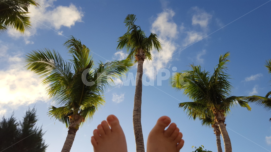 saipan,healing,휴양,휴식,야자수,바람,하늘
