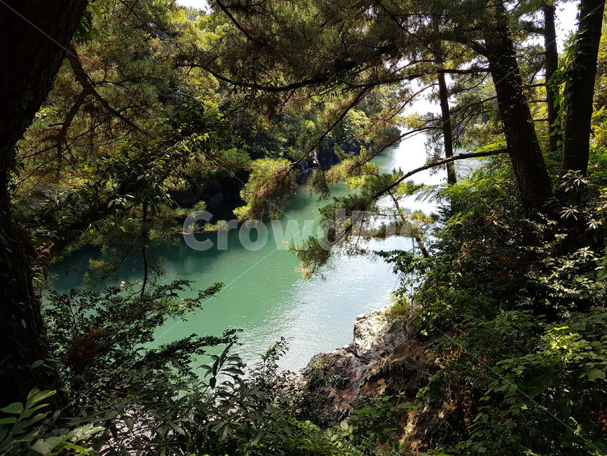 자연,물,풍경,여름,강,자연,풍경,nature,landscape,water,outdoors,옥외