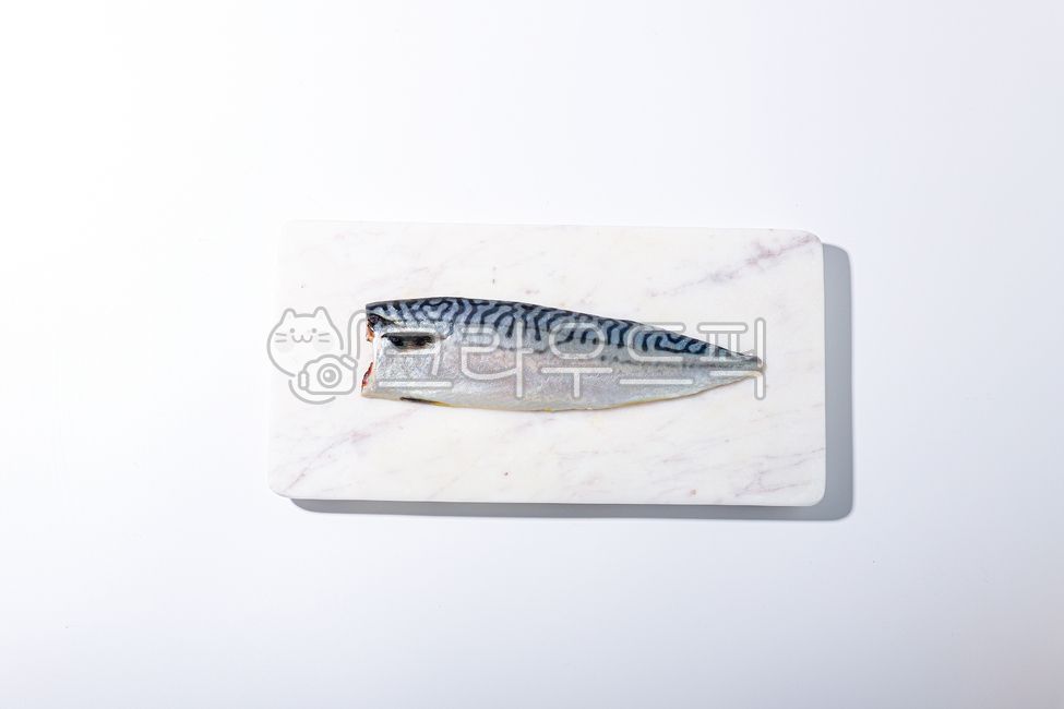 seafood,Norwegian Mackerel,raw material,fish,herring,Biology,mackerel,marine life