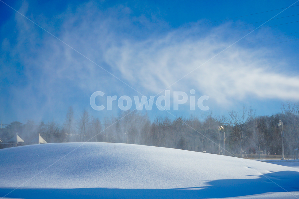 겨울,눈,인공눈,제설기,공원,나무,눈보라,겨울,계절,winter,season,자연,풍경,nature,landscape,outdoors,옥외,plant,식물,tree,fir,전나무