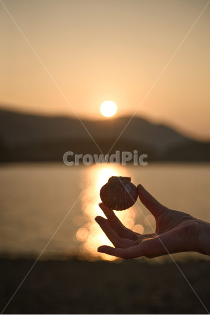 바다,일몰,석양,노을,조개,가리비,해변,바다,beach,sea,사람,인물,인간,human,person,신체일부,몸,body,감성,sensible,feeling