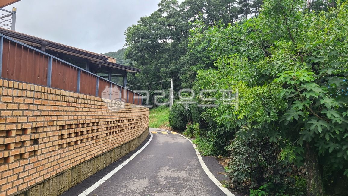 골목,담벼락,담장,아스팔트,도로,나무,전봇대,골목길,시골,asphalt