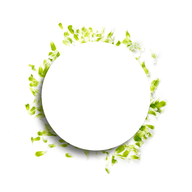 꽃,프레임,백그라운드,꽃잎,배경,배경이미지,봄,계절,내츄럴,보태니컬,보태니컬프레임