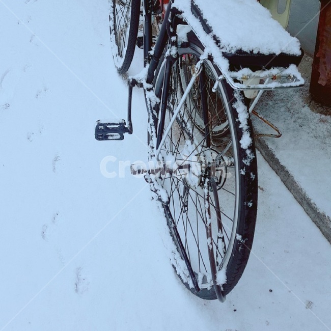 자전거,눈내린풍경,눈길,눈오는날,snow,winter,겨울,겨울,계절,winter,season