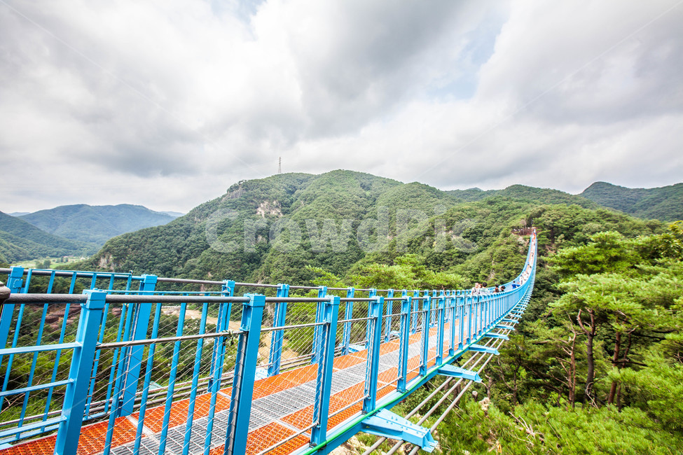 출렁다리,건축물,다리,구름다리,흔들다리,풍경,bridge