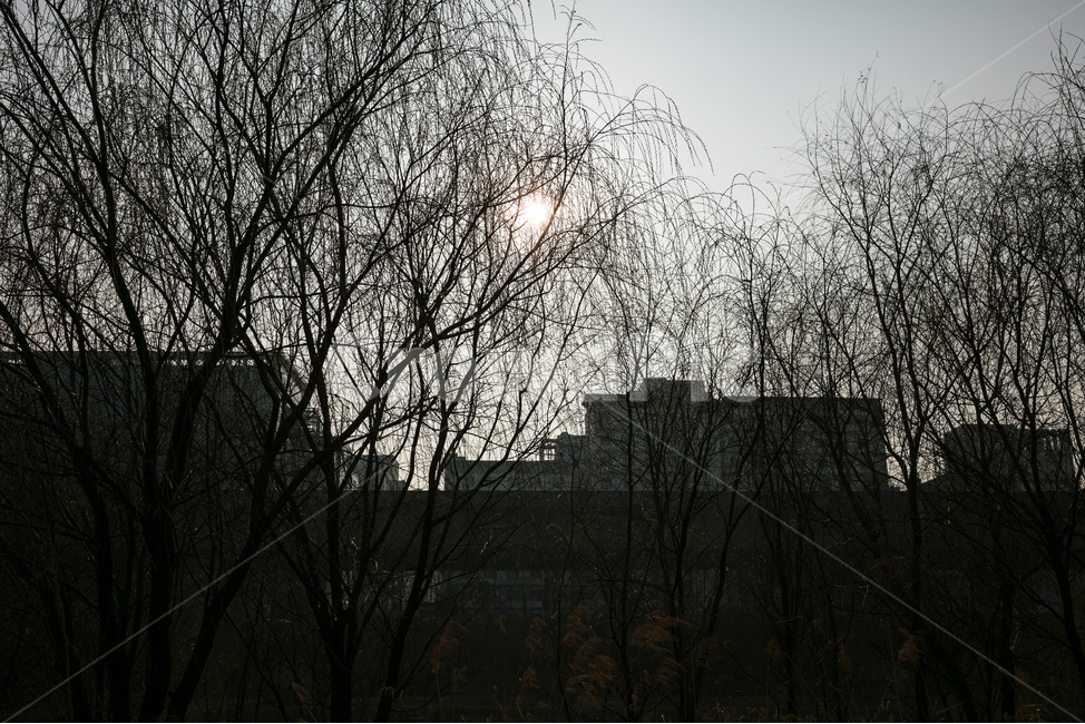 빛과그림자,역광,그림자,명암대비,나무그림자,해,도시그림자,도시,풍경,city,landscape,한국도시풍경,한국도시경관,korea cityscape,tree,나무,plant,식물