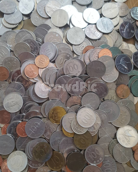동전,money,돈,로또,복권,한국동전,코인