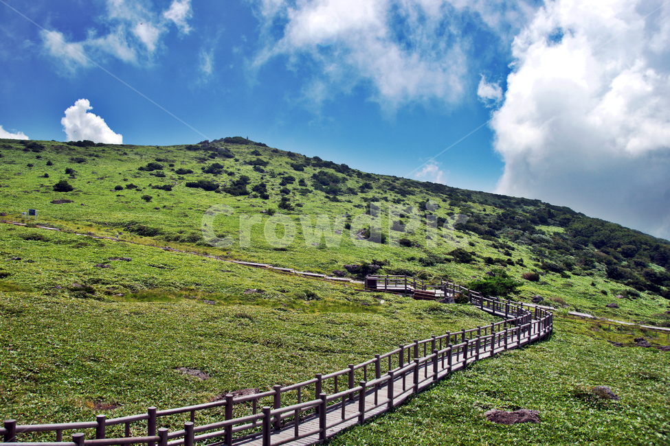 한라산,제주도,영산,어리목코스,만세동산,자연,구름,탐방로