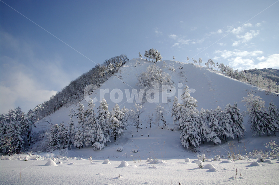 겨울,눈,설경,풍경,산,겨울산,설산,겨울,계절,winter,season