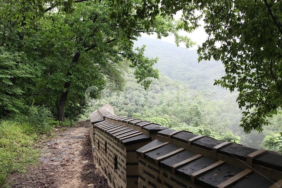 남한산성,성,성곽,숲,숲길,길,둘레길,벽,담,돌담,풍경,여름